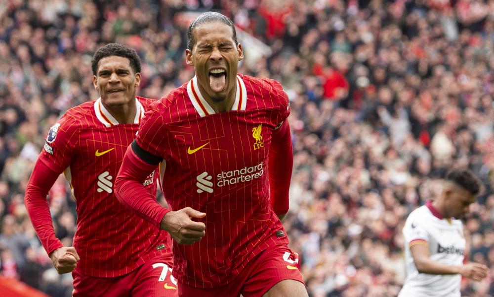 象群会议 象群会议